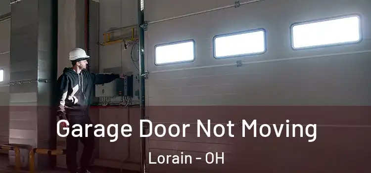  Garage Door Not Moving Lorain - OH