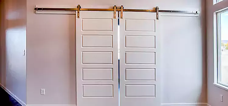 Glass Barn Door with Installation Hardware Kit Lorain