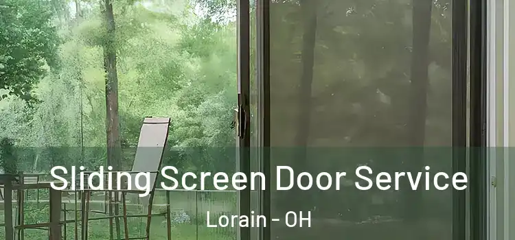  Sliding Screen Door Service Lorain - OH